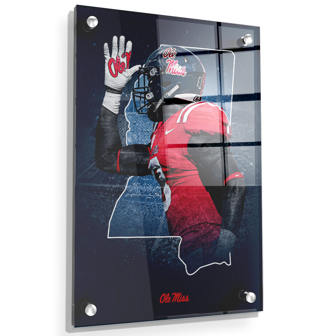 Ole Miss Rebels - Landshark State - College Wall Art #Canvas