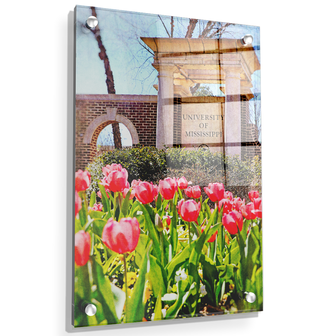 Ole Miss Rebels - University of Mississippi Spring Entrance - College Wall Art #Canvas