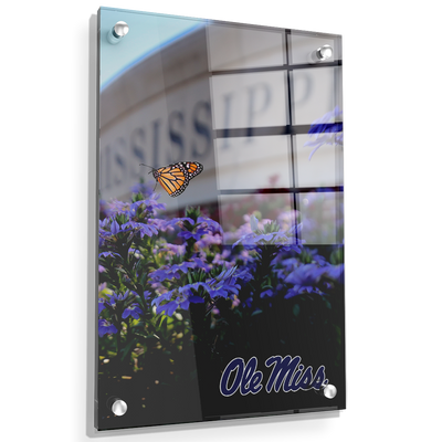 Ole Miss Rebels - Ole Miss Blue - College Wall Art #Acrylic