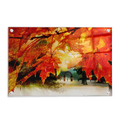 Ole Miss Rebels - Autumn Walk of Champions - College Wall Art #Acrylic