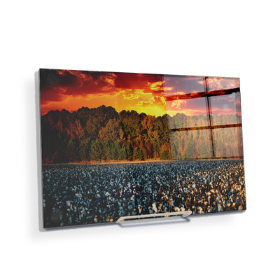 Cotton Field -College Wall Art #Acrylic Mini