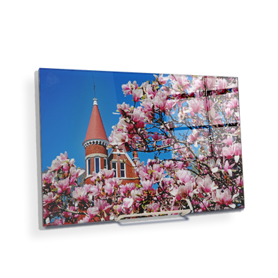 Ole Miss Rebels - Cherry Blossom Ventress - College Wall Art #Acrylic Mini