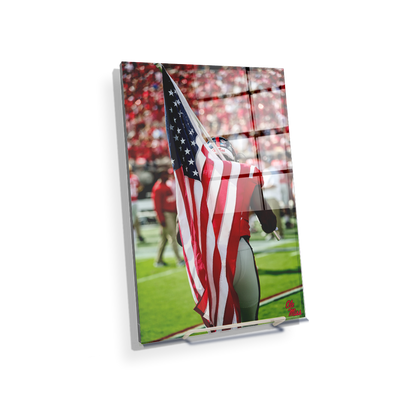 Ole Miss Rebels - Our Flag - College Wall Art #Acrylic Mini