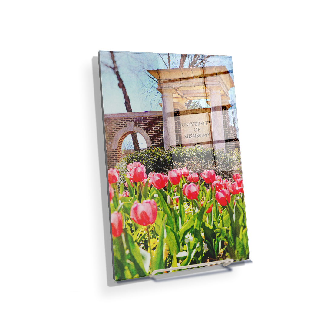 Ole Miss Rebels - University of Mississippi Spring Entrance - College Wall Art #Canvas
