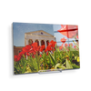 Ole Miss Rebels - Lyceum Grand Tulip Paint - College Wall Art #Acrylic Mini