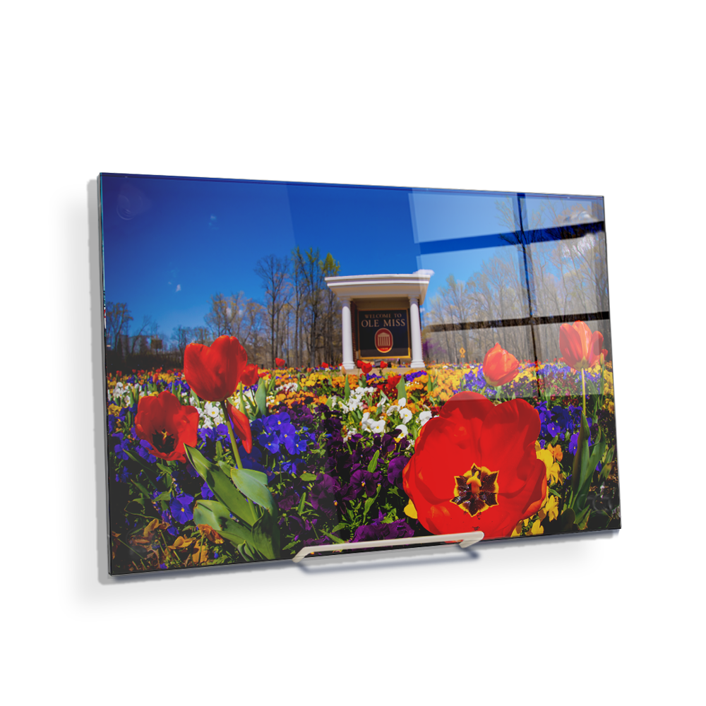 Ole Miss Rebels - 2021 Tulip Circle - College Wall Art #Canvas