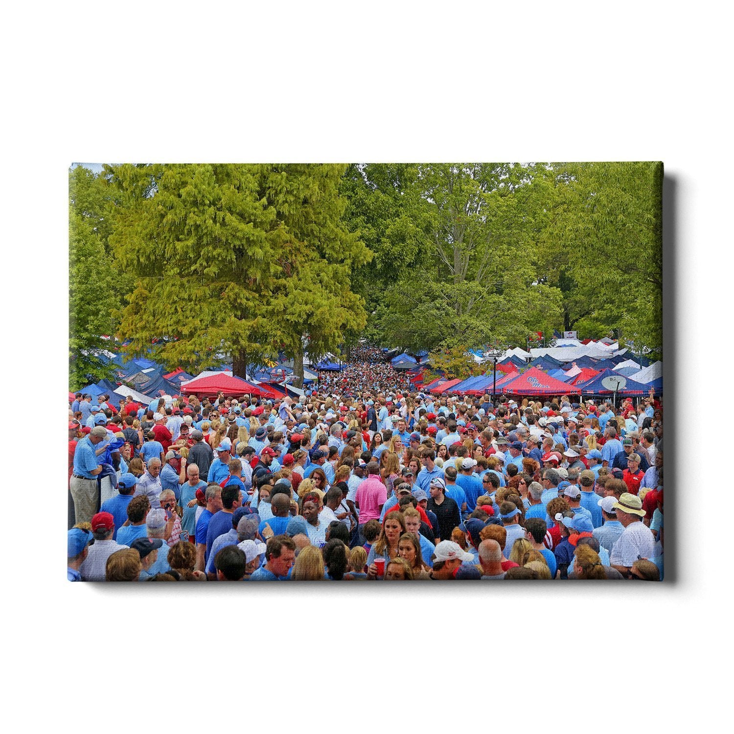 Ole Miss Rebels - Swarm the Grove - College Wall Art #Canvas