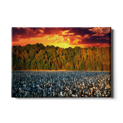 Cotton Field -College Wall Art #Canvas