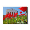 Ole Miss Rebels - Spring Lyceum - College Wall Art #Canvas