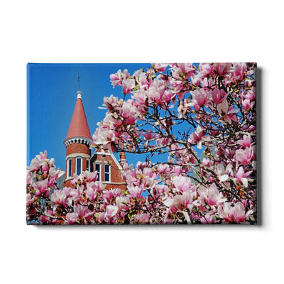 Ole Miss Rebels - Cherry Blossom Ventress - College Wall Art #Canvas