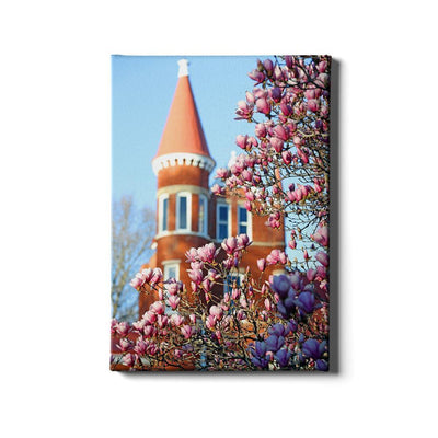 Ole Miss Rebels - Spring at Ole Miss - College Wall Art #Canvas