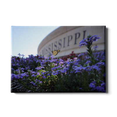 Ole Miss Rebels - Mississippi Butterfly - College Wall Art #Canvas