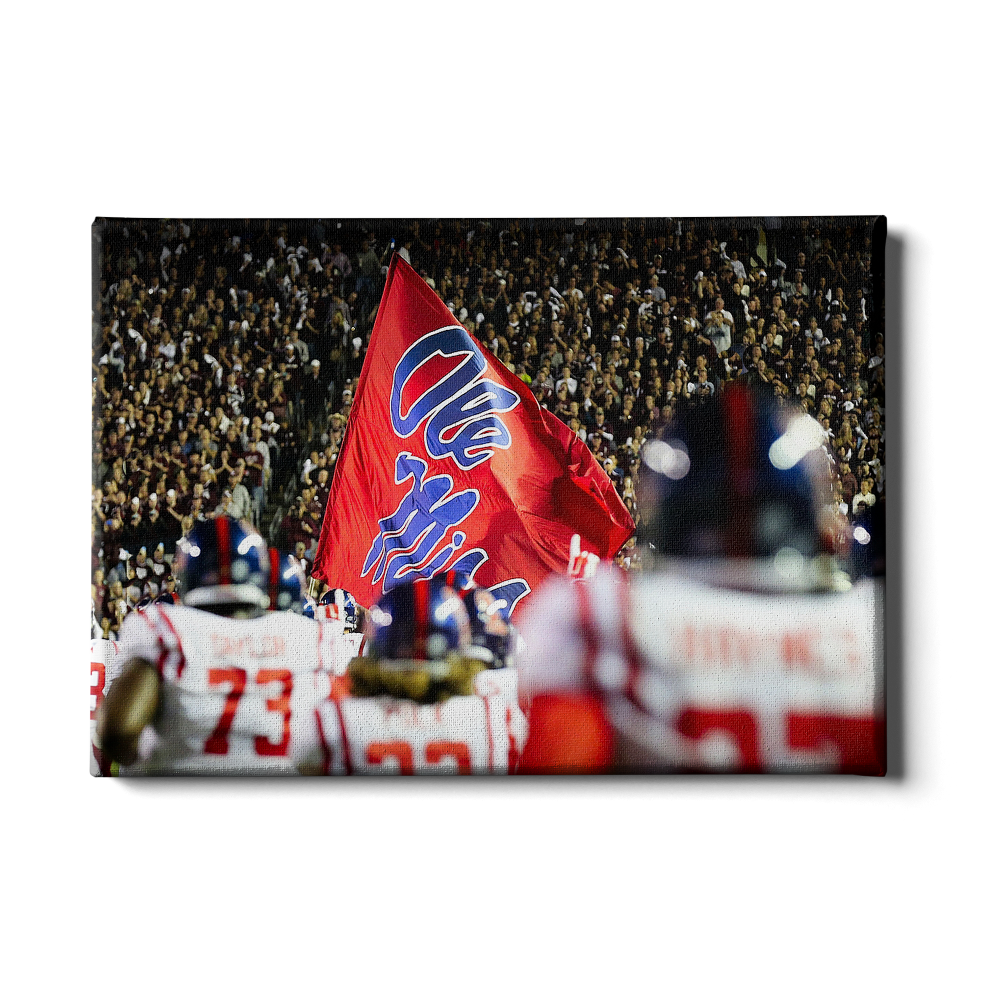 Ole Miss Rebels - Ole Miss Entrance - College Wall Art #Canvas