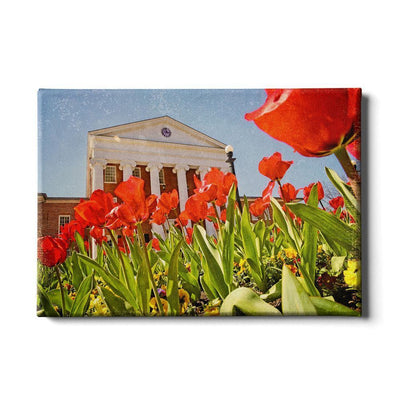 Ole Miss Rebels - Lyceum Grand Tulip Paint - College Wall Art #Canvas