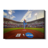 Ole Miss Rebels - NCAA Baseball 2019 - College Wall Art #Canvas