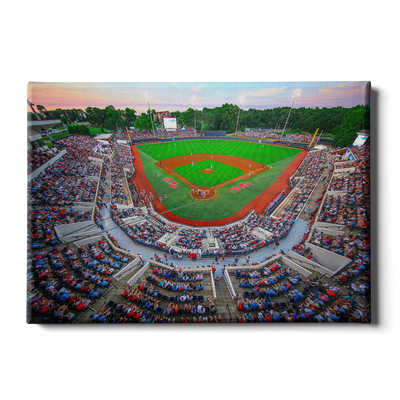 Ole Miss Rebels - NCAA Swayze - College Wall Art #Canvas