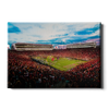 Ole Miss Rebels - Enter Ole Miss - College Wall Art #Canvas