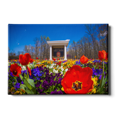 Ole Miss Rebels - 2021 Tulip Circle - College Wall Art #Canvas