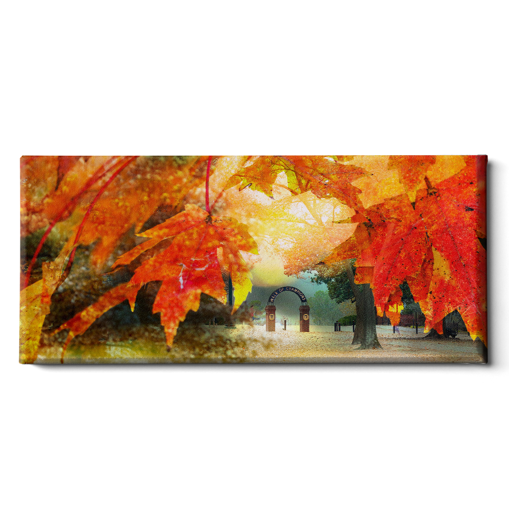 Ole Miss Rebels - Autumn Walk of Champions Panoramic - College WALL Art #Canvas