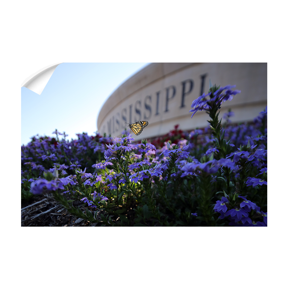Ole Miss Rebels - Mississippi Butterfly - College Wall Art #Canvas