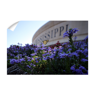 Ole Miss Rebels - Mississippi Butterfly - College Wall Art #Wall Decal