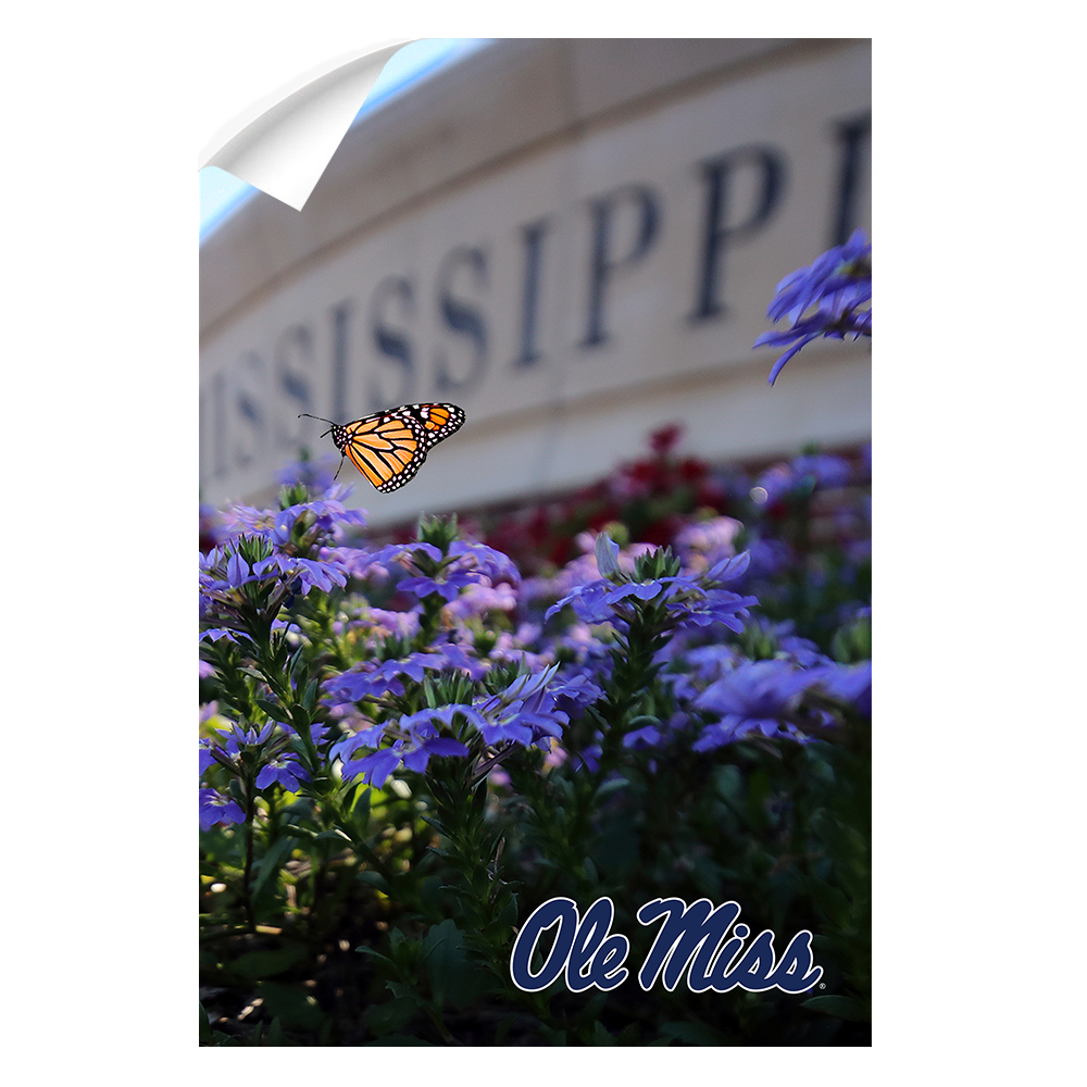 Ole Miss Rebels - Ole Miss Blue - College Wall Art #Canvas