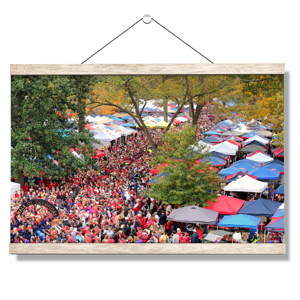 Ole Miss Rebels - Aerial Grove - College Wall Art #Canvas