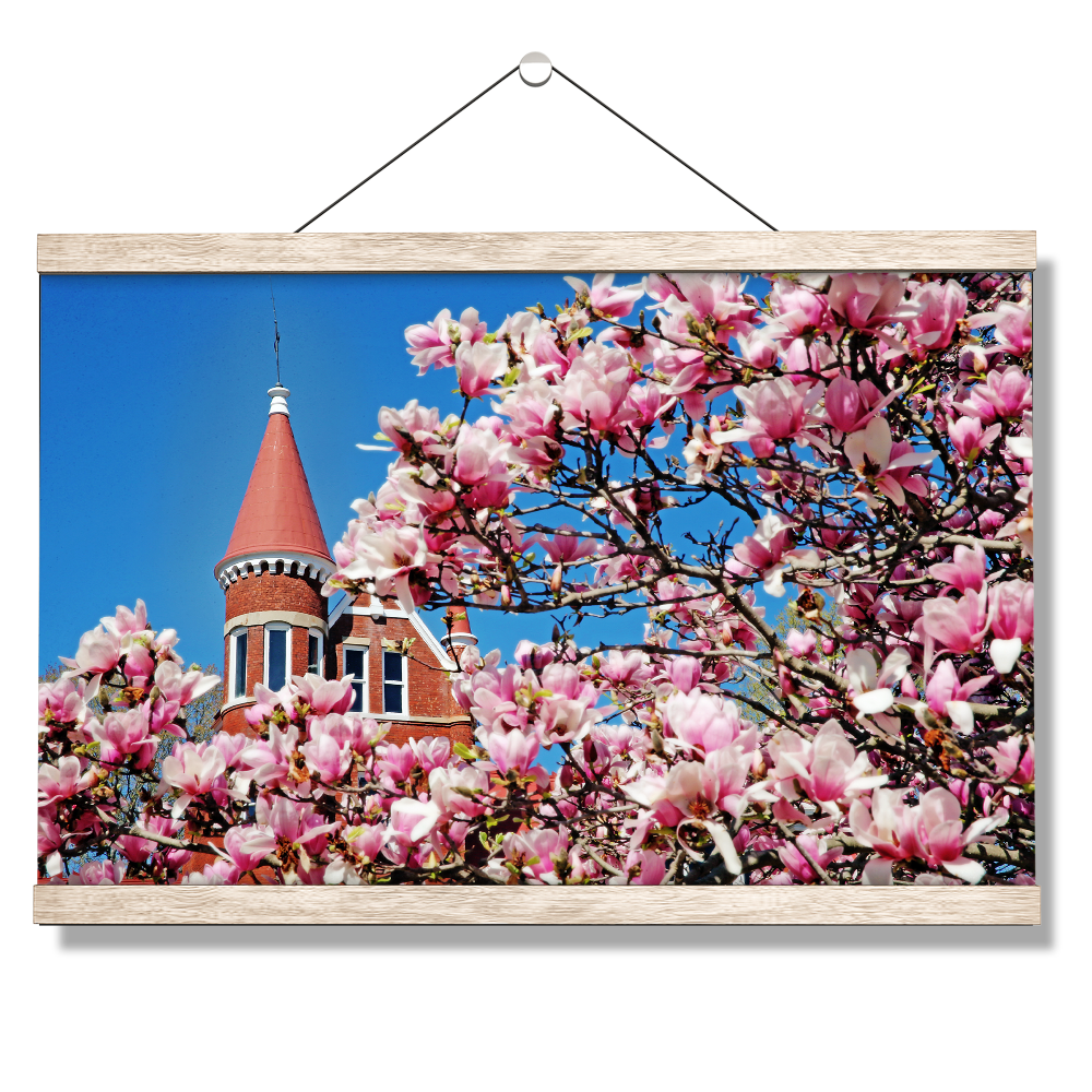 Ole Miss Rebels - Cherry Blossom Ventress - College Wall Art #Canvas