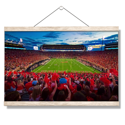 Ole Miss Rebels - Land Shark Sunset - College Wall Art #Hanging Canvas