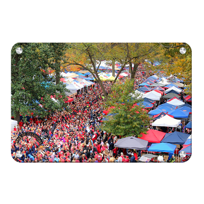 Ole Miss Rebels - Aerial Grove - College Wall Art #Metal