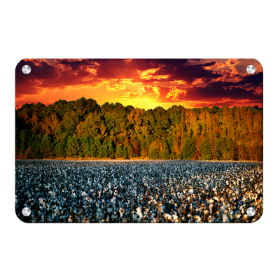 Cotton Field -College Wall Art #Metal