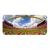 Ole Miss Rebels - Fisheye End zone Panoramic - College Wall Art #Metal