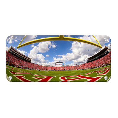 Ole Miss Rebels - Fisheye End zone Panoramic - College Wall Art #Metal