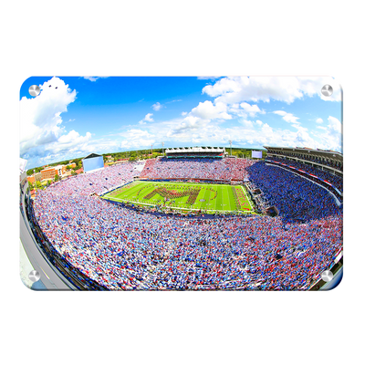 Ole Miss Rebels - Powder Blue Game - College Wall Art #Metal