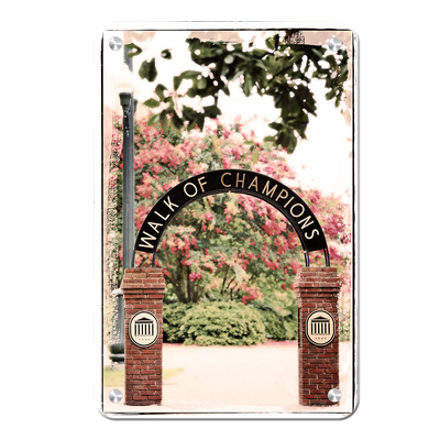 Ole Miss Rebels - Spring Walk of Champions - College Wall Art #Metal