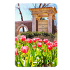 Ole Miss Rebels - University of Mississippi Spring Entrance - College Wall Art #Metal