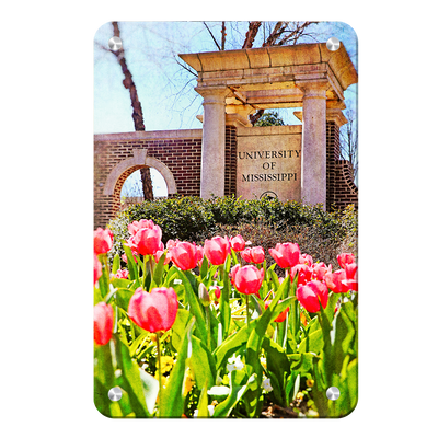 Ole Miss Rebels - University of Mississippi Spring Entrance - College Wall Art #Metal