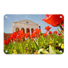 Ole Miss Rebels - Lyceum Grand Tulip Paint - College Wall Art #Metal