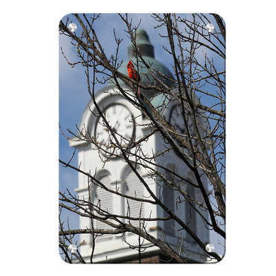 Ole Miss Rebels - Oxford Cardinal - College Wall Art #Metal