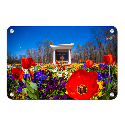 Ole Miss Rebels - 2021 Tulip Circle - College Wall Art #Metal