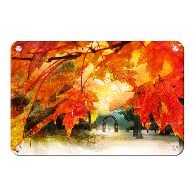 Ole Miss Rebels - Autumn Walk of Champions - College Wall Art #Metal