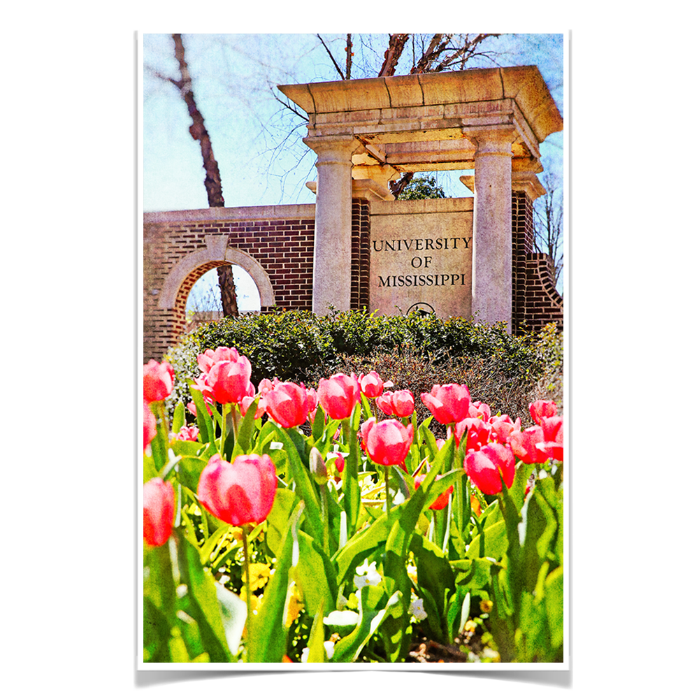 Ole Miss Rebels - University of Mississippi Spring Entrance - College Wall Art #Canvas