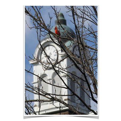 Ole Miss Rebels - Oxford Cardinal - College Wall Art #Poster