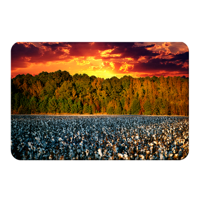 Cotton Field -College Wall Art #PVC
