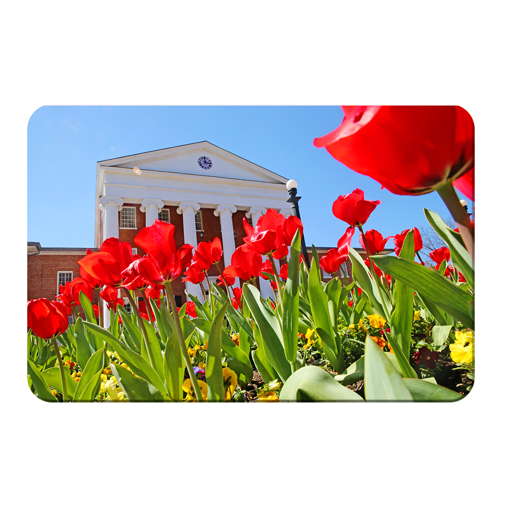 Ole Miss Rebels - Spring Lyceum - College Wall Art #Canvas