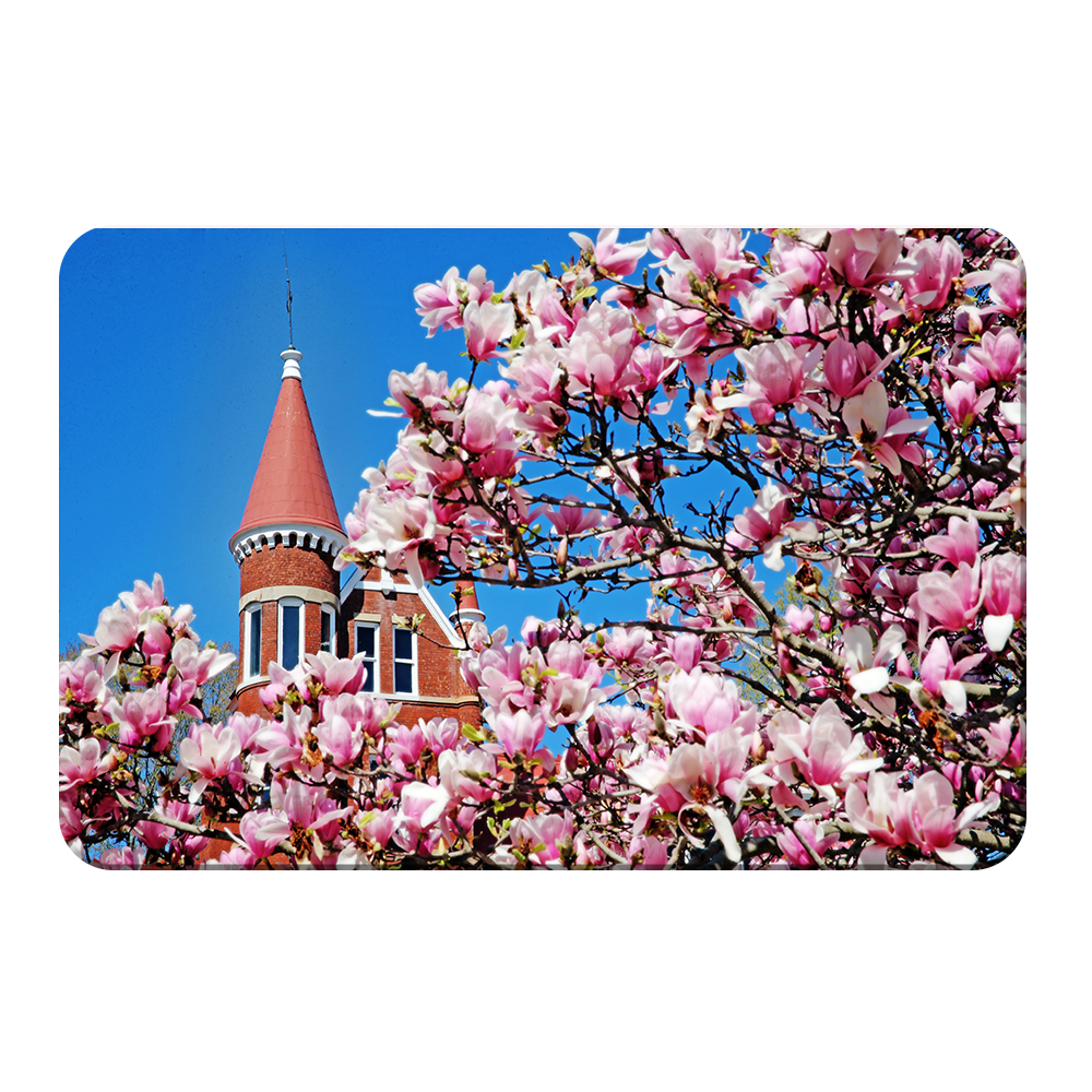 Ole Miss Rebels - Cherry Blossom Ventress - College Wall Art #Canvas