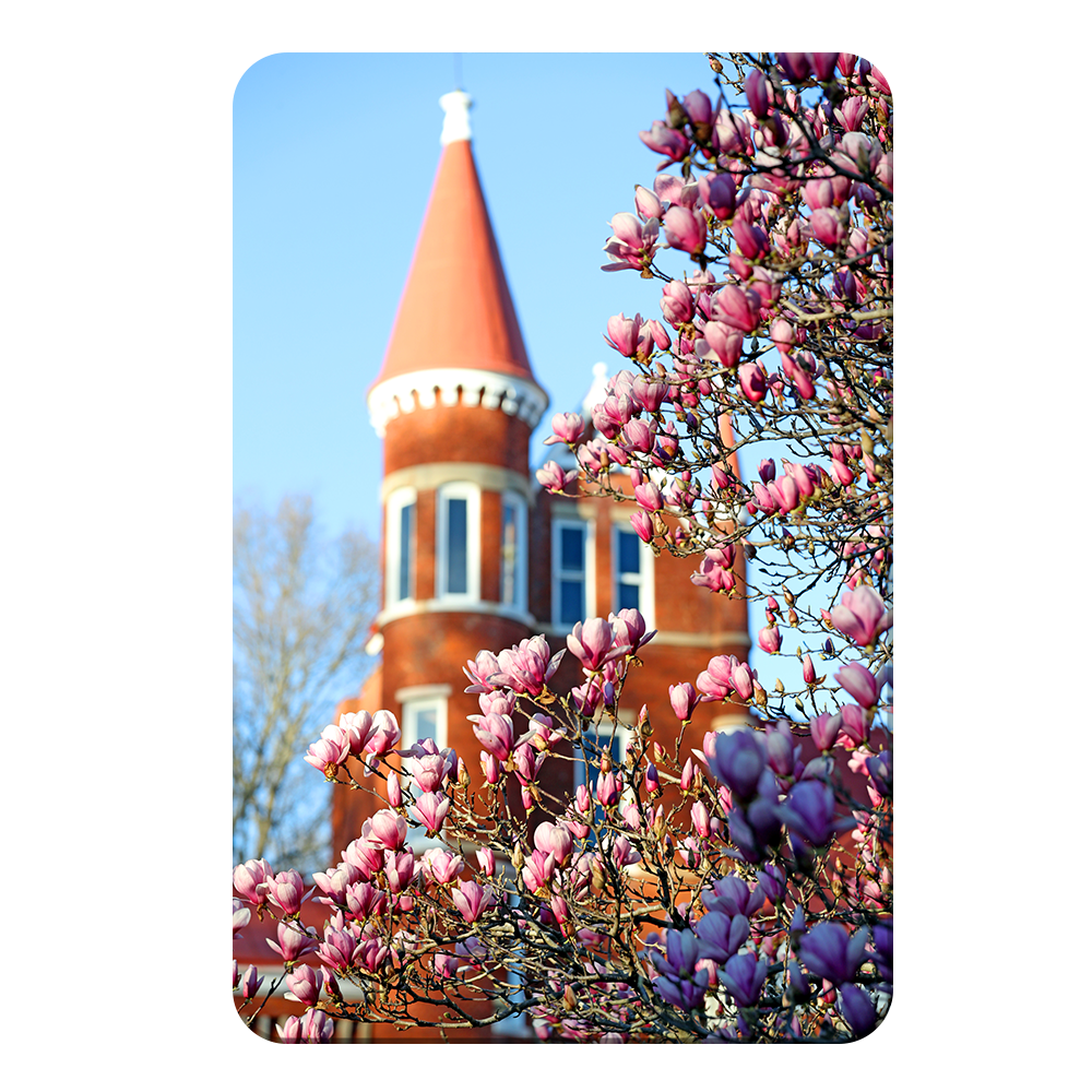 Ole Miss Rebels - Spring at Ole Miss - College Wall Art #Canvas