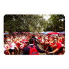 Ole Miss Rebels - The Walk - College Wall Art #PVC