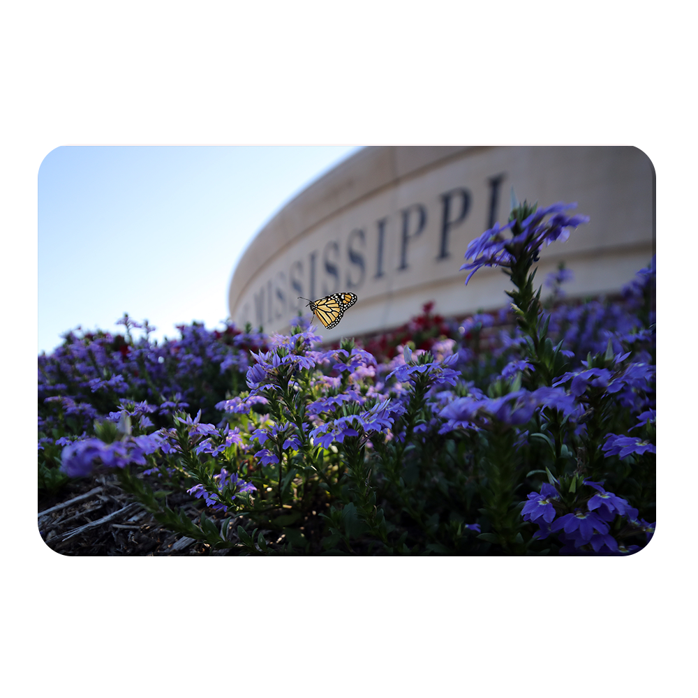 Ole Miss Rebels - Mississippi Butterfly - College Wall Art #Canvas