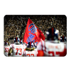 Ole Miss Rebels - Ole Miss Entrance - College Wall Art #PVC